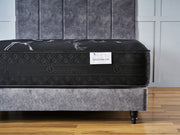 NOIR + Black Plush Base