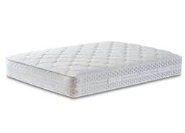 Oasis Orthopaedic Support Pillow