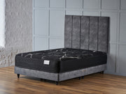NOIR + Black Plush Base